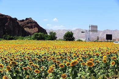 《原子之心》将采用DRM加密 性能下降希望在DLSS上找补