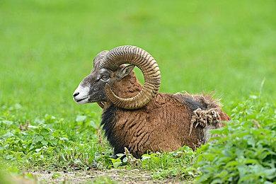 官宣：《塞尔达传说：旷野之息 续篇》跳票至2023年春季